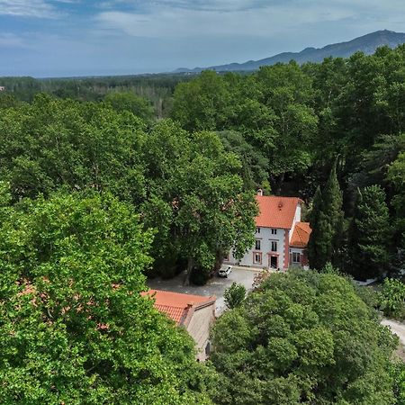 مبيت وإفطار Saint-Génis Domaine Castell De Bles المظهر الخارجي الصورة