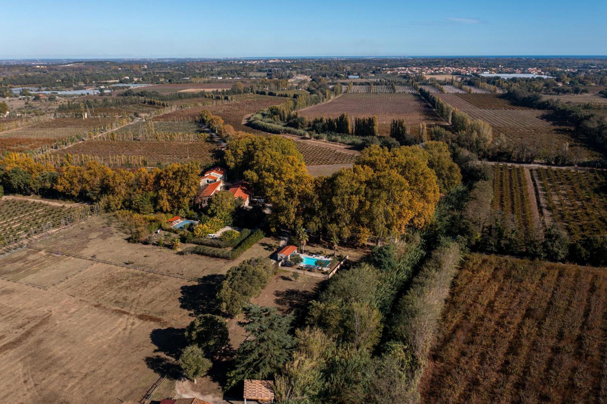 مبيت وإفطار Saint-Génis Domaine Castell De Bles المظهر الخارجي الصورة