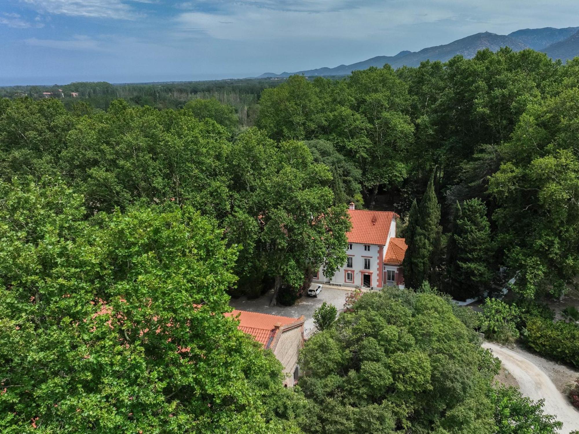 مبيت وإفطار Saint-Génis Domaine Castell De Bles المظهر الخارجي الصورة