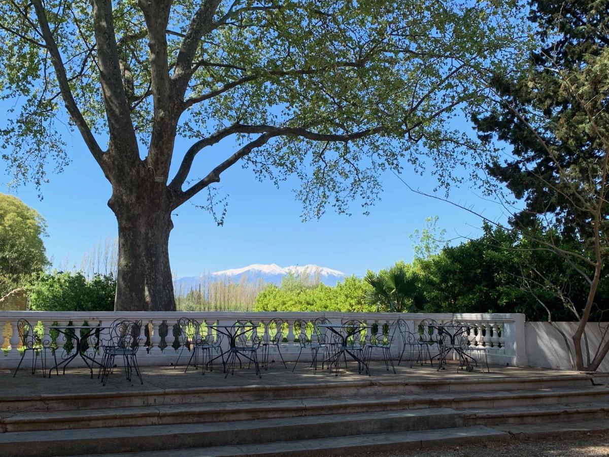 مبيت وإفطار Saint-Génis Domaine Castell De Bles المظهر الخارجي الصورة