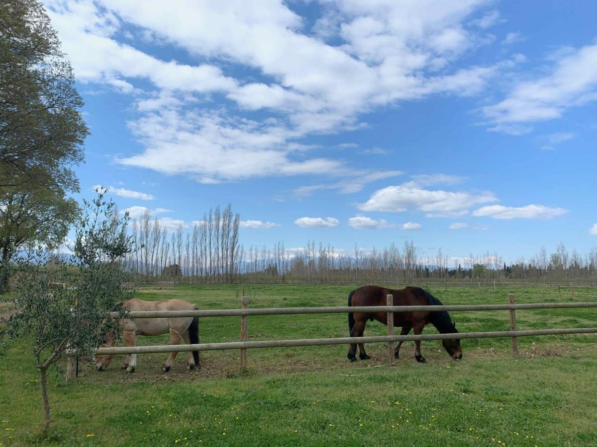 مبيت وإفطار Saint-Génis Domaine Castell De Bles المظهر الخارجي الصورة