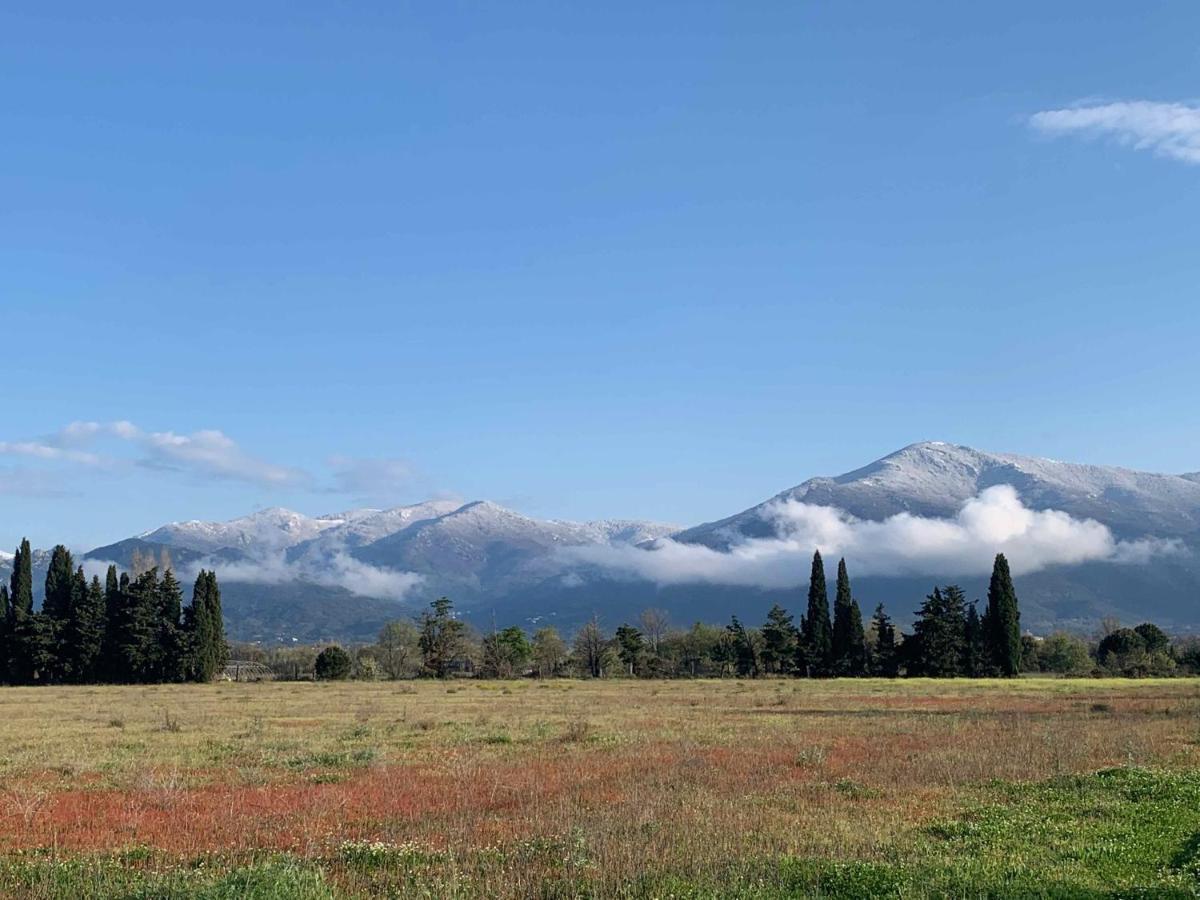 مبيت وإفطار Saint-Génis Domaine Castell De Bles المظهر الخارجي الصورة